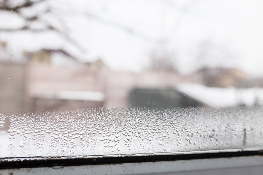 What Causes Foggy Windows and What Can You Do About It? Montrose Glass