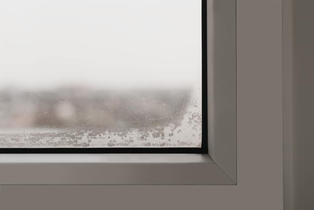 How To Manage Foggy and Misted Glass in Cold Weather